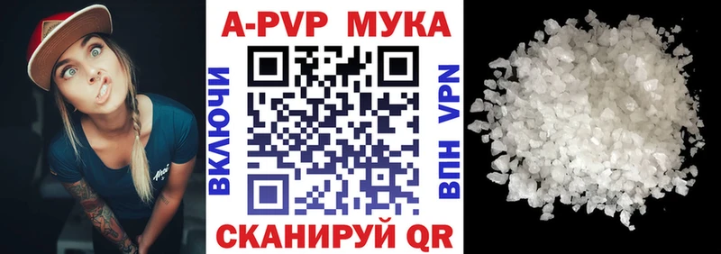 Альфа ПВП СК КРИС  как найти   Сосновый Бор 