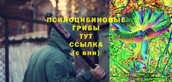 метадон Магас
