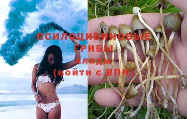 метадон Магас