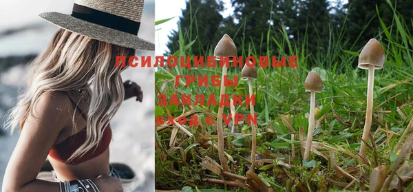 MDMA Premium VHQ Майский