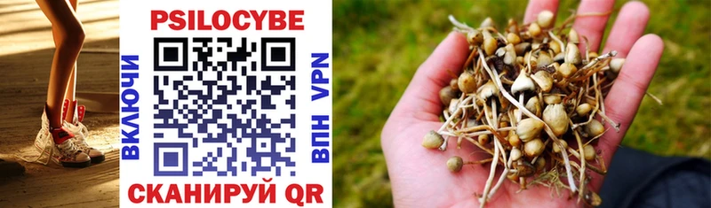 Галлюциногенные грибы Cubensis  Сосновый Бор 