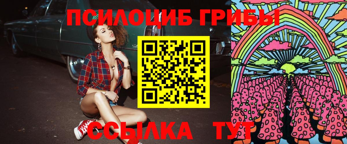 Псилоцибиновые грибы мицелий  Сосновый Бор 