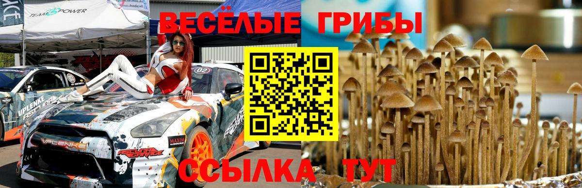 A PVP Сосновый Бор