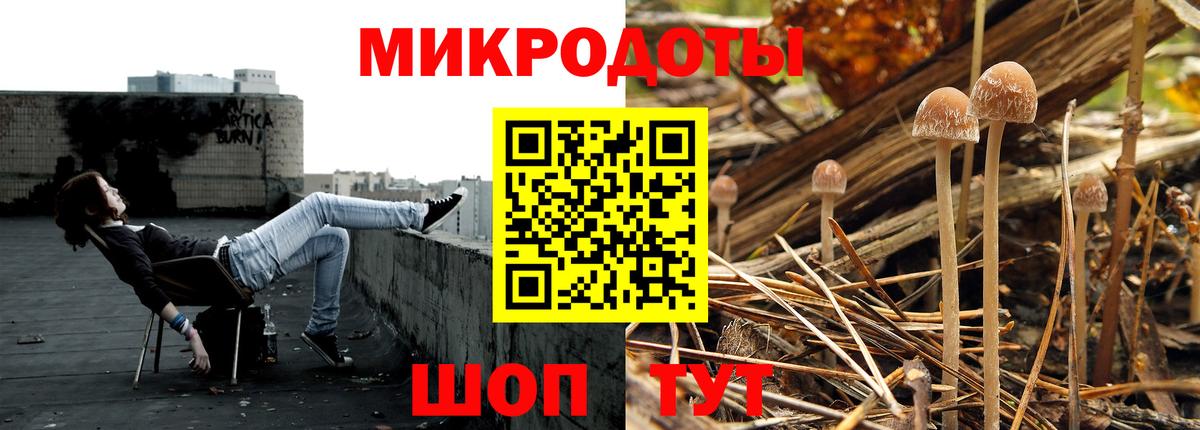 Псилоцибиновые грибы ЛСД  Псилоцибиновые грибы прущие грибы  Вход с VPN  Сосновый Бор 
