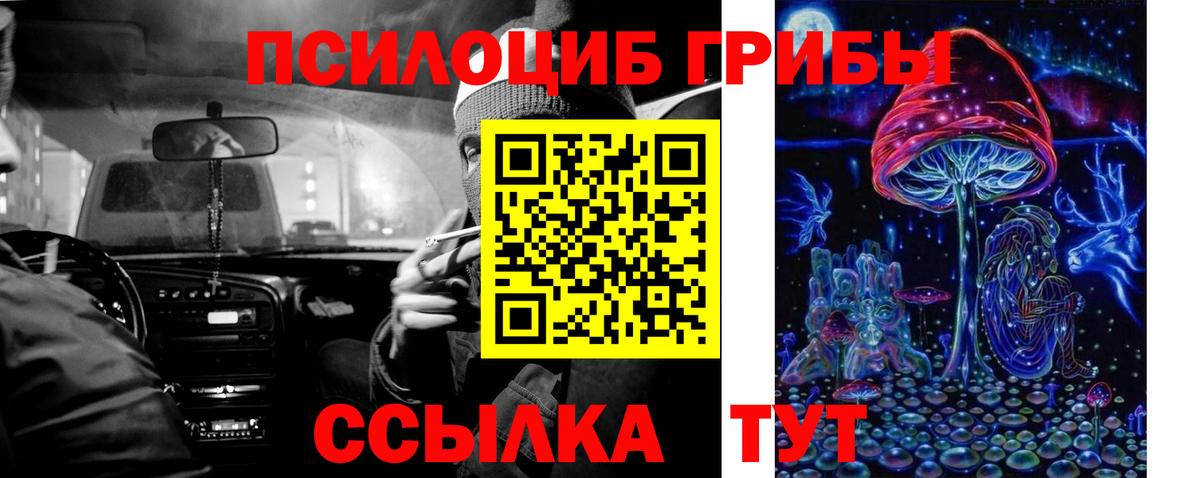 Галлюциногенные грибы Cubensis Сосновый Бор