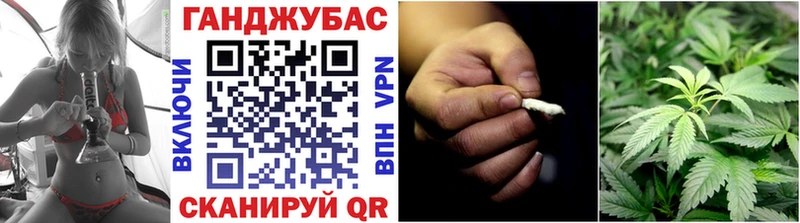 Канабис гибрид Сосновый Бор